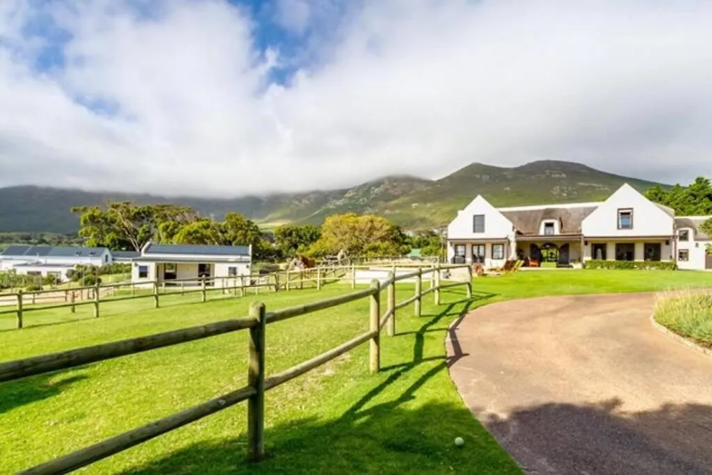 Serene, Thatched Apartment In Noordhoek, ケープタウン 南アフリカ